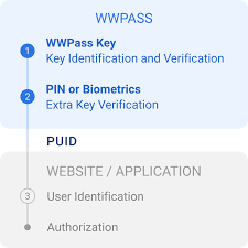 Understanding Single Sign On The Key to Seamless User Experience